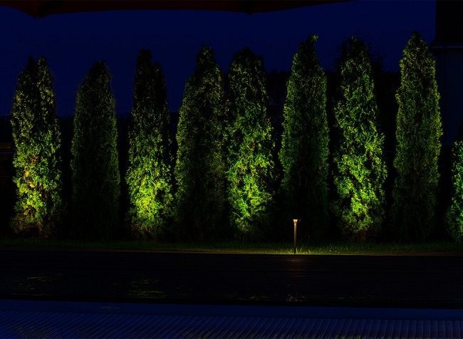 Подсветка деревьев кустарников и других растений